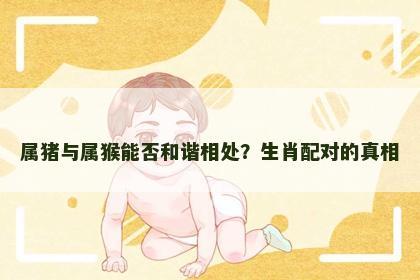 属猪与属猴能否和谐相处？生肖配对的真相