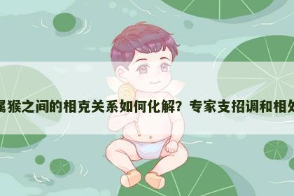 属虎属猴之间的相克关系如何化解？专家支招调和相处之道