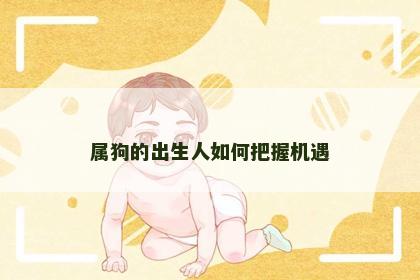 属狗的出生人如何把握机遇