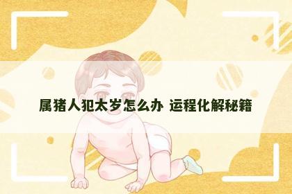 属猪人犯太岁怎么办 运程化解秘籍