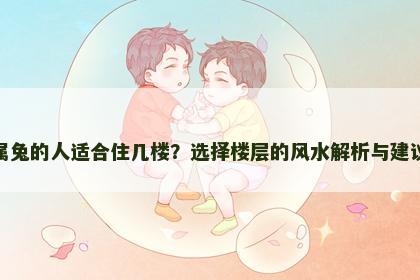 属兔的人适合住几楼？选择楼层的风水解析与建议