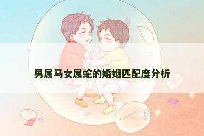 男属马女属蛇的婚姻匹配度分析