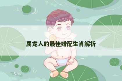 属龙人的最佳婚配生肖解析