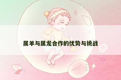 属羊与属龙合作的优势与挑战