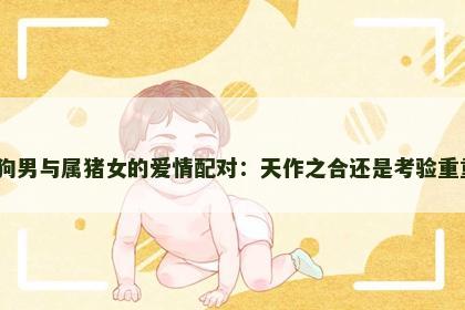 属狗男与属猪女的爱情配对：天作之合还是考验重重？