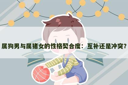 属狗男与属猪女的性格契合度：互补还是冲突？
