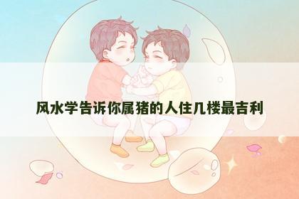 风水学告诉你属猪的人住几楼最吉利
