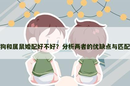 属狗和属鼠婚配好不好？分析两者的优缺点与匹配度