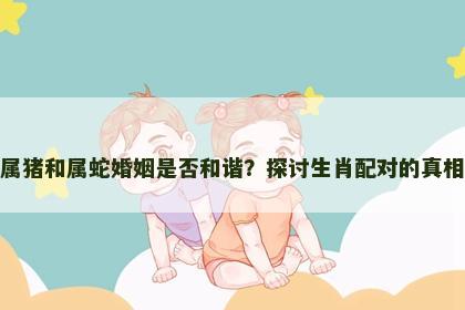 属猪和属蛇婚姻是否和谐？探讨生肖配对的真相