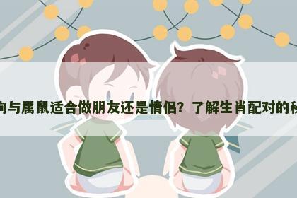 属狗与属鼠适合做朋友还是情侣？了解生肖配对的秘密
