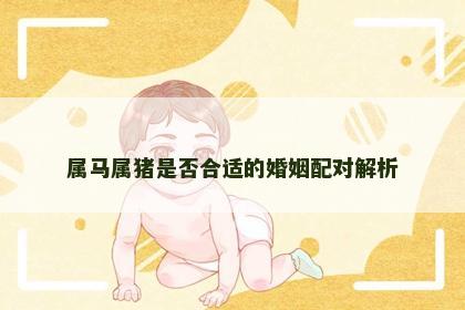 属马属猪是否合适的婚姻配对解析