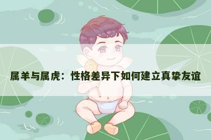 属羊与属虎：性格差异下如何建立真挚友谊