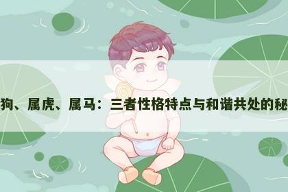 属狗、属虎、属马：三者性格特点与和谐共处的秘诀