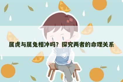 属虎与属兔相冲吗？探究两者的命理关系