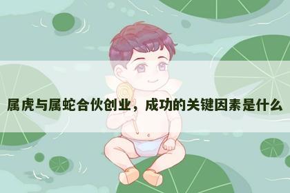 属虎与属蛇合伙创业，成功的关键因素是什么