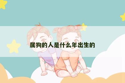 属狗的人是什么年出生的