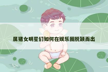 属猪女明星们如何在娱乐圈脱颖而出