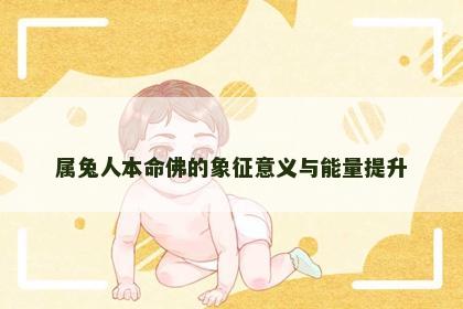 属兔人本命佛的象征意义与能量提升