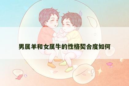 男属羊和女属牛的性格契合度如何