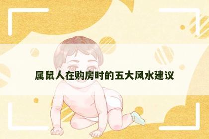 属鼠人在购房时的五大风水建议