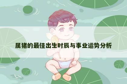 属猪的最佳出生时辰与事业运势分析