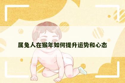 属兔人在猴年如何提升运势和心态