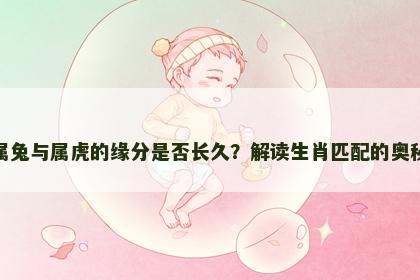 属兔与属虎的缘分是否长久？解读生肖匹配的奥秘