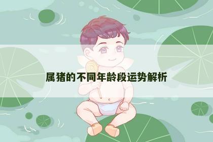 属猪的不同年龄段运势解析