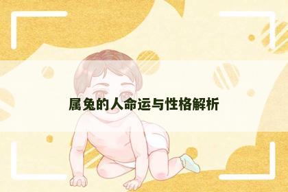 属兔的人命运与性格解析