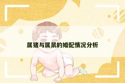 属猪与属鼠的婚配情况分析