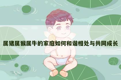 属猪属猴属牛的家庭如何和谐相处与共同成长