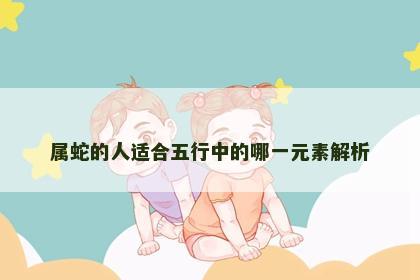 属蛇的人适合五行中的哪一元素解析