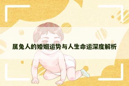 属兔人的婚姻运势与人生命运深度解析