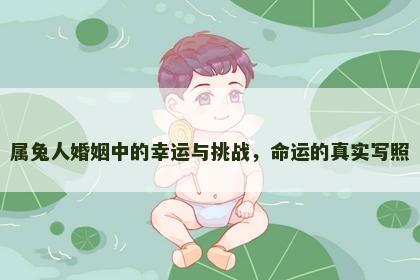 属兔人婚姻中的幸运与挑战，命运的真实写照