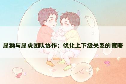 属猴与属虎团队协作：优化上下级关系的策略