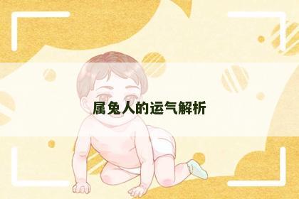 属兔人的运气解析