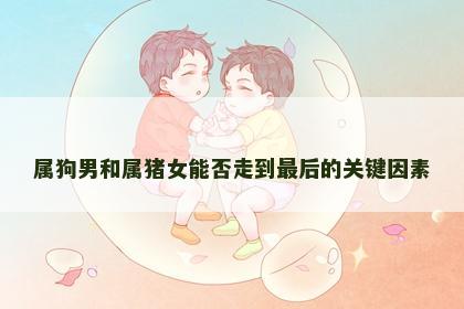 属狗男和属猪女能否走到最后的关键因素