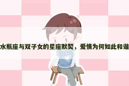 水瓶座与双子女的星座默契，爱情为何如此和谐