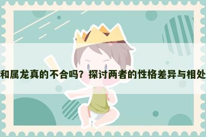 属兔和属龙真的不合吗？探讨两者的性格差异与相处之道