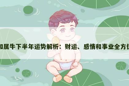 属鼠和属牛下半年运势解析：财运、感情和事业全方位指南