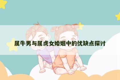 属牛男与属虎女婚姻中的优缺点探讨