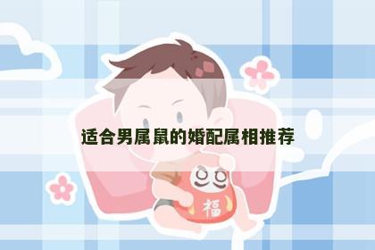 适合男属鼠的婚配属相推荐