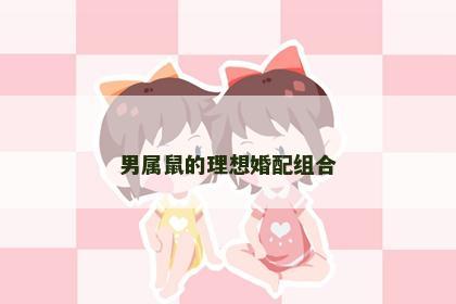 男属鼠的理想婚配组合
