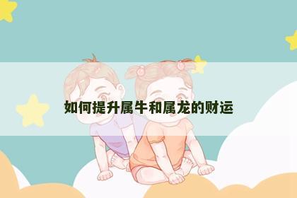 如何提升属牛和属龙的财运