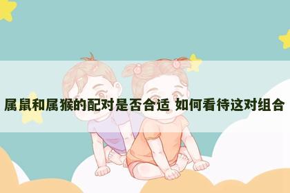 属鼠和属猴的配对是否合适 如何看待这对组合