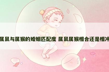 属鼠与属猴的婚姻匹配度 属鼠属猴相合还是相冲