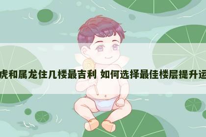 属虎和属龙住几楼最吉利 如何选择最佳楼层提升运势