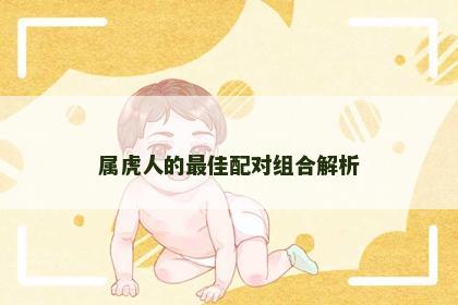 属虎人的最佳配对组合解析