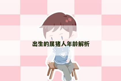 出生的属猪人年龄解析