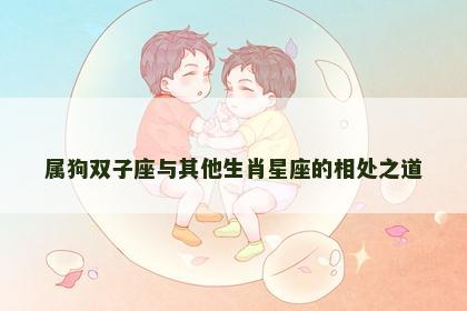属狗双子座与其他生肖星座的相处之道